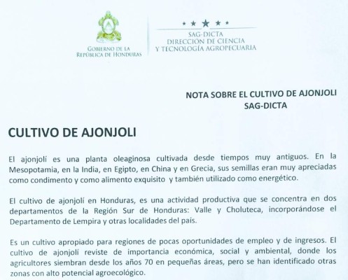 Pretenden ampliar producción de ajonjolí para extraer aceite