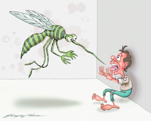 'Entre el zancudo y la pared”
