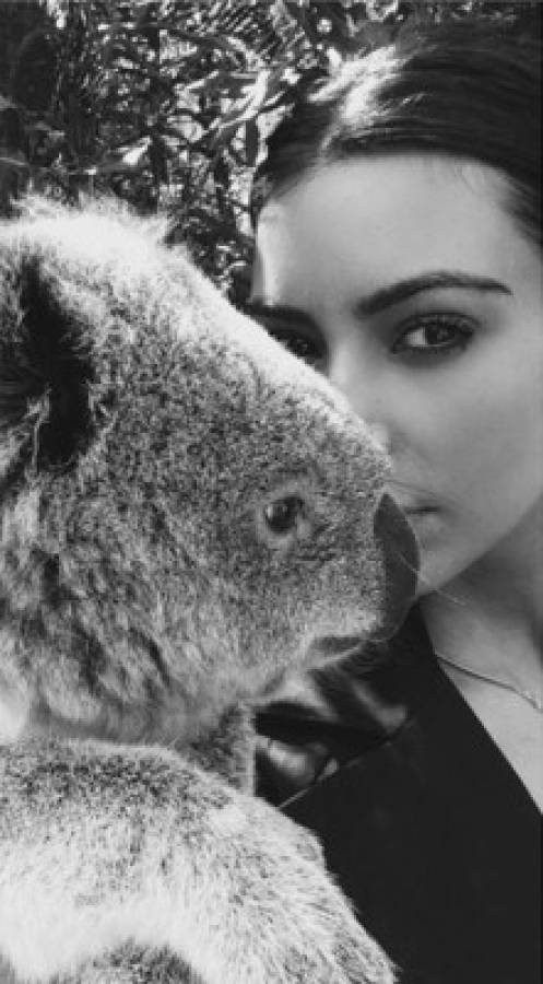Kim seduce hasta a los koalas