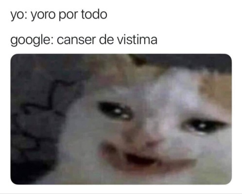 Divertidos memes: Esto pasa cuando le haces una consulta médica a Google