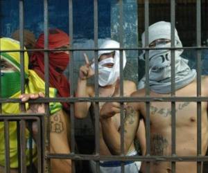 Según las investigaciones los tres presuntos pandilleros presentaban golpes en diferentes partes del cuerpo y tenían impactos de bala en la cabeza.