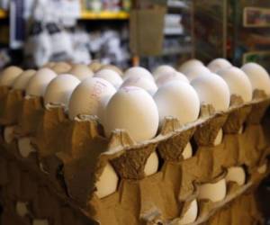 Se prevé que para diciembre el cartón de huevos incremente su precio. Por los momentos la DGPC lucha para evitar la especulación.