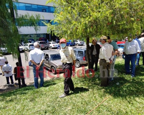 FOTOS: Bajo inclemente sol, hondureños hacen largas filas en bancos  