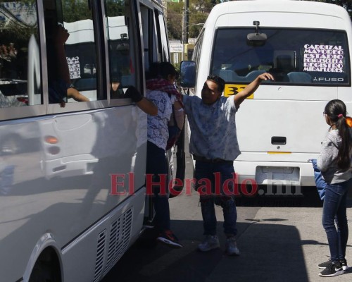 FOTOS: Así operará el sector transporte durante reapertura en Honduras