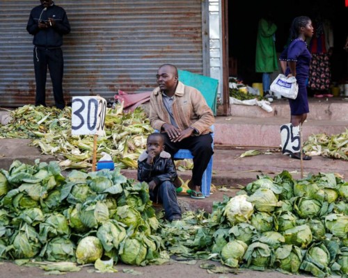 Paro económico mundial podría causar 'pandemia de hambre', según expertos
