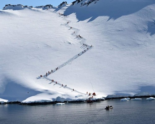 Hallan microplásticos en el ecosistema terrestre de la Antártida