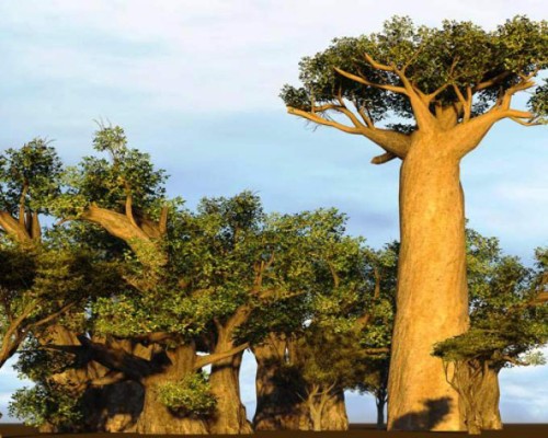 Sitios increíbles en peligro de extinción