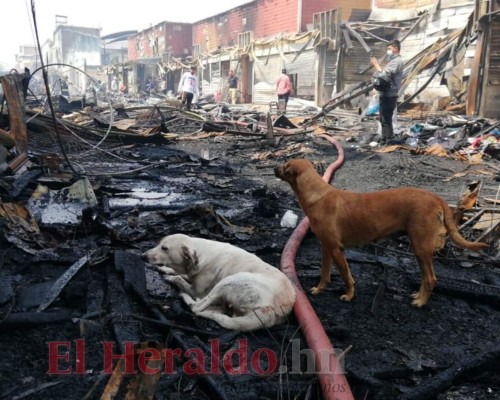 FOTOS: Escombros, tristeza e incertidumbre en los mercados de Comayagüela