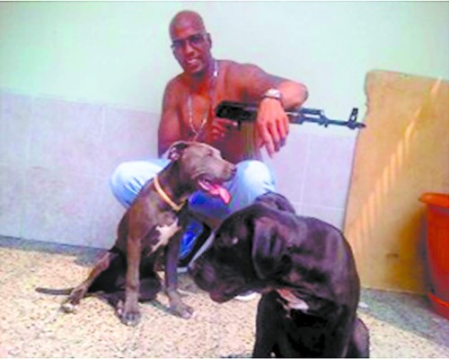 RNP, vulnerable ante narcos y crimen organizado
