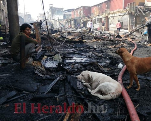 FOTOS: Escombros, tristeza e incertidumbre en los mercados de Comayagüela