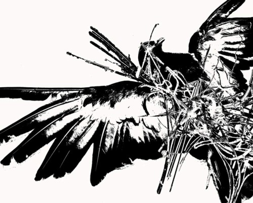 Bienal de pintura del IHCI, un certamen que urge reinventarse