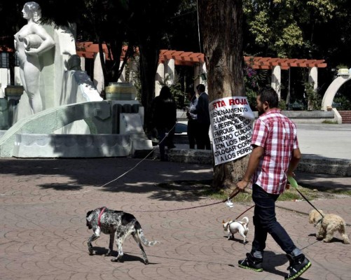 Policía investiga misterioso caso de 'mataperros'