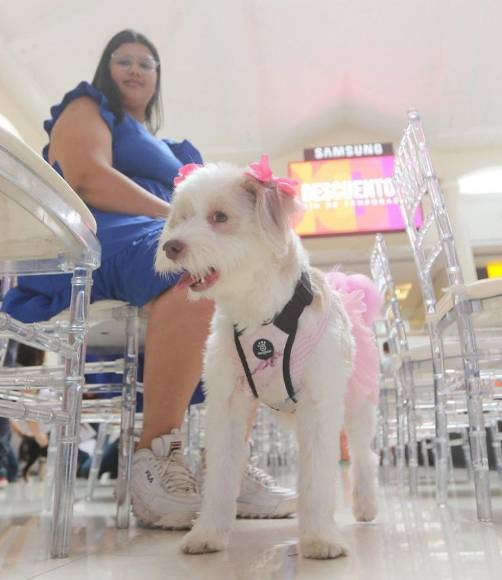 ¡Adorables! Los “puppies” más tiernos de la pasarela de Pet Ville