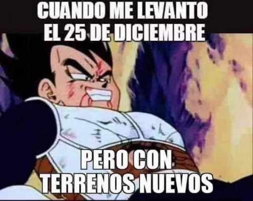 Los divertidos memes que desataron las peleas de terrenos en Navidad&nbsp;&nbsp;