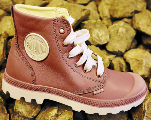 Los burros se ponen a tono con la moda