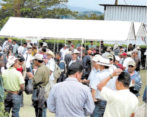 Celebran Festival del Café en La Paz