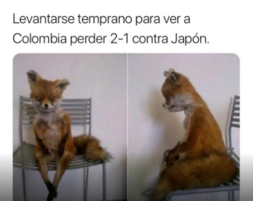 Con memes se burlan de Colombia, Polonia, Egipto y Salah en la jornada de este martes en Rusia 2018