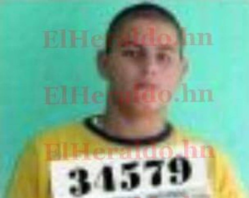 Matanzas y asesinatos cometieron pandilleros fugados de Támara