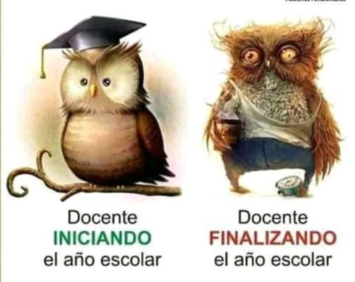 Para reír un poco...acá están los mejores chistes