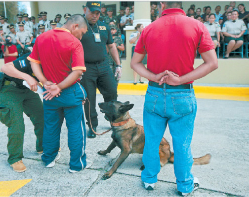 Nuevo escuadrón canino desata lucha antidrogas en Honduras