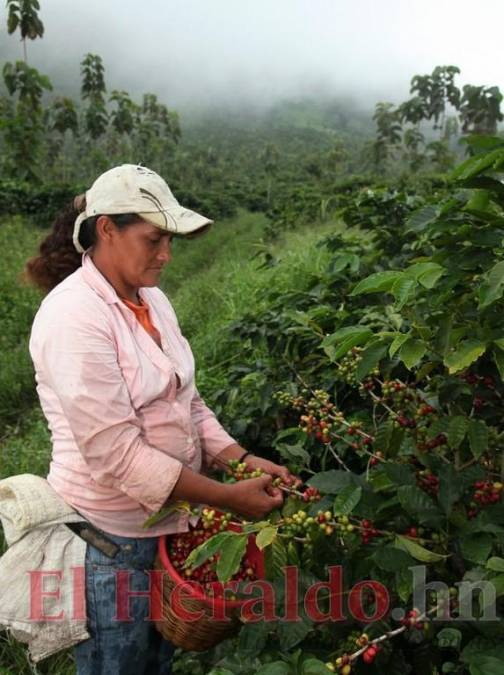 15 datos sobre las mujeres hondureñas que debes conocer