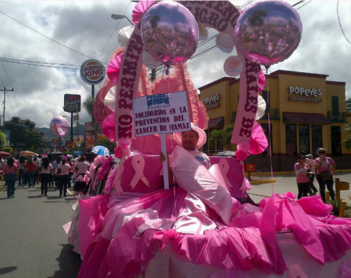 Cuarto Carnaval Rosa en Tegucigalpa
