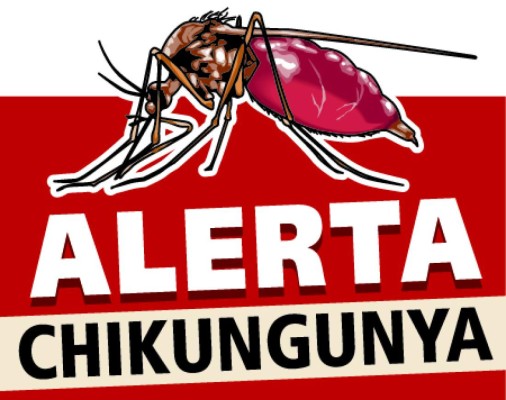 Dolor de chikungunya difiere al del dengue