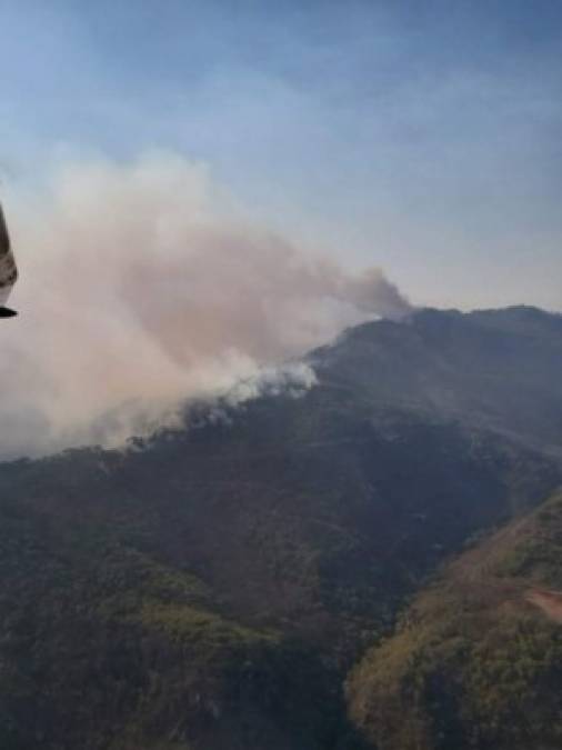 FOTOS: Devastador incedio forestal en Comayagua deja tres menores quemados