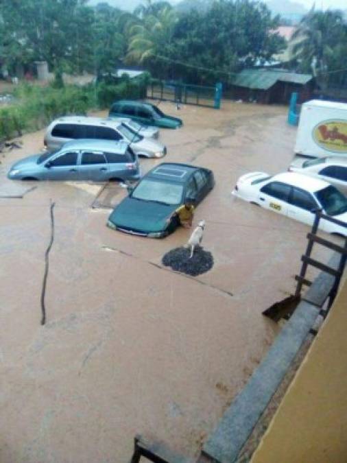 Dramáticas imágenes de las inundaciones en Roatán ante imparable lluvia