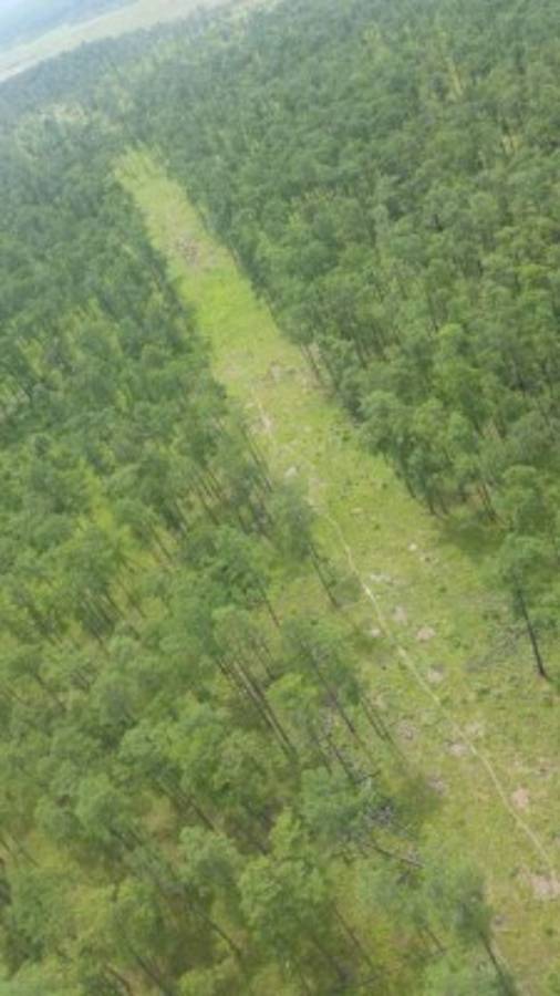 En medio del bosque se encontraban las áreas clandestinas de aterrizaje en La Mosquitia, foto: El Heraldo.
