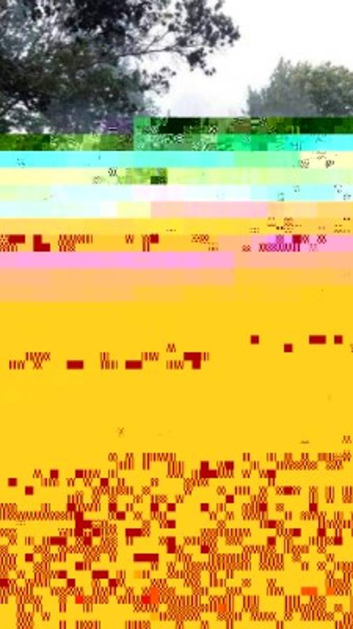 El vehículo envuelto en llamas.