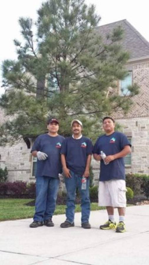 EL HERALDO muestra cómo trabajan los hondureños en el exterior