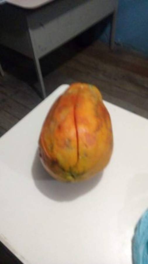 Detienen a mujer que intentó ingresar a la cárcel de La Ceiba un celular escondido en una papaya