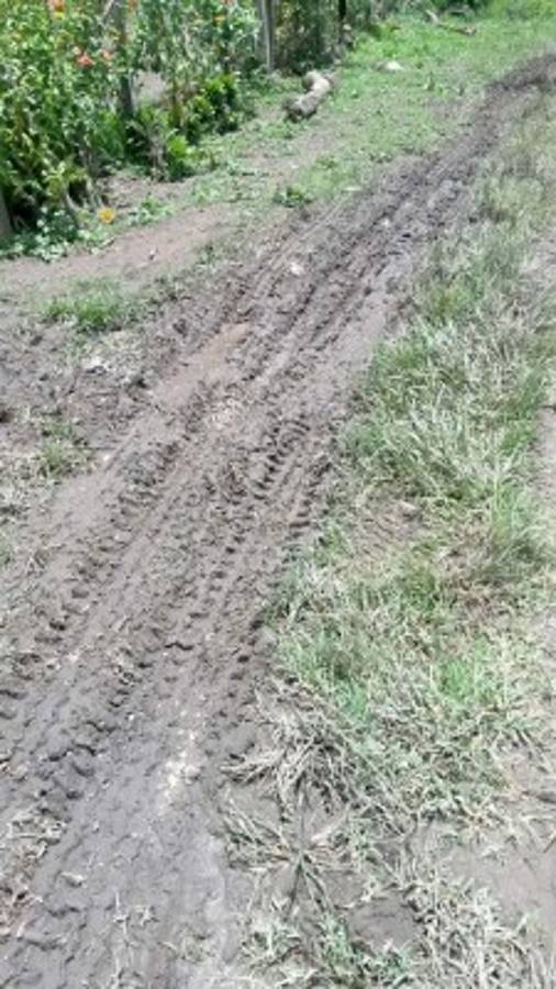 Versión de pobladores confirma captura de Zelaya en Nicaragua