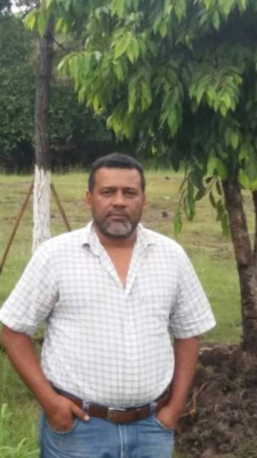 En la capital se necesita reforestar unas 25 mil hectáreas de bosque