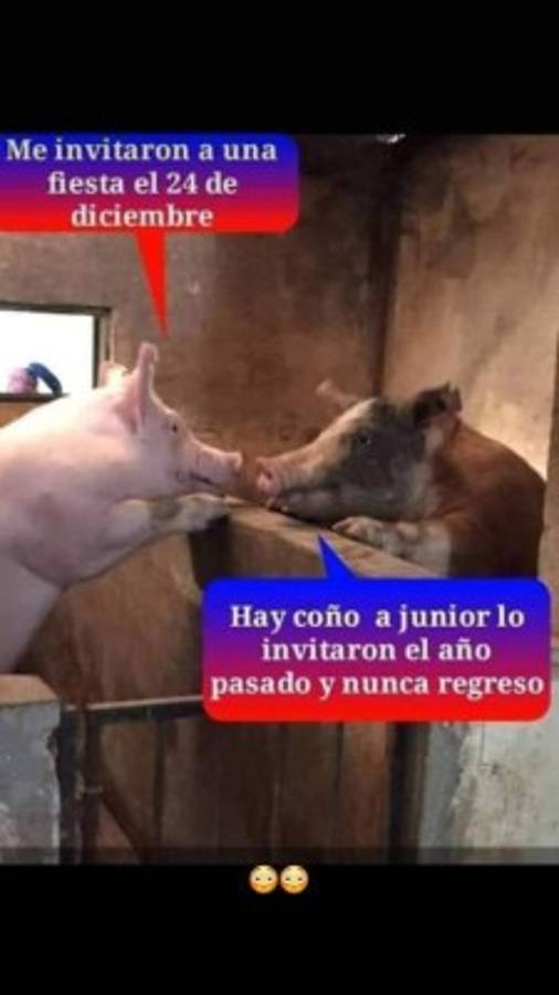 Los mejores chistes de la semana