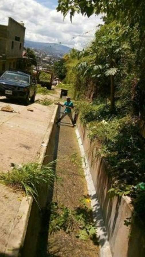 Salud programa para octubre arduo combate contra el Aedes aegypti en la capital de Honduras