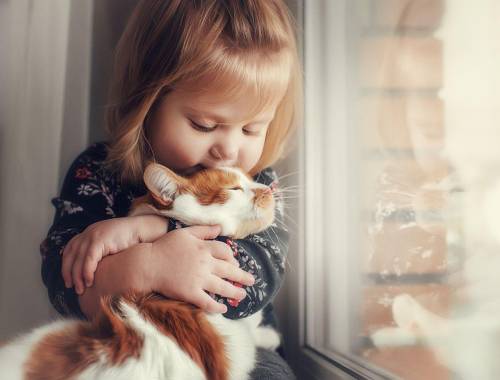 Algunos niños no saben cómo relacionarse con los animales y suelen ser algo bruscos; necesitan una guía para aprender a tratarlos con amor.