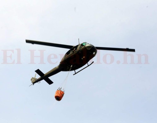 Incendio en El Hatillo solo quemó maleza, según el Instituto de Conservación Forestal (ICF)