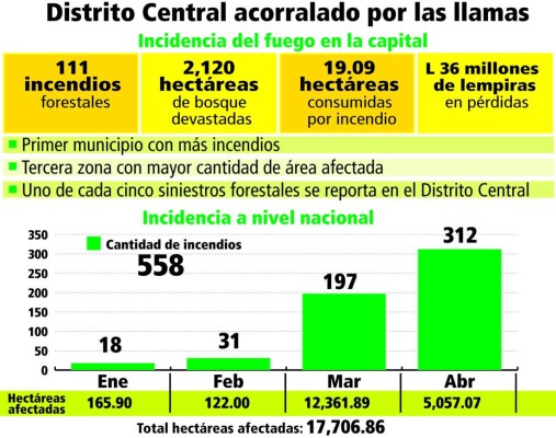 Devastado bosque capitalino