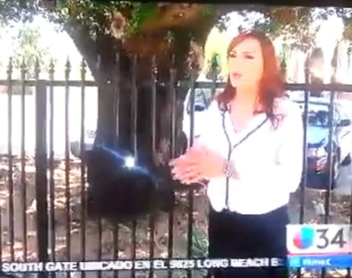 Hondureña transexual denuncia a consulado por discriminación