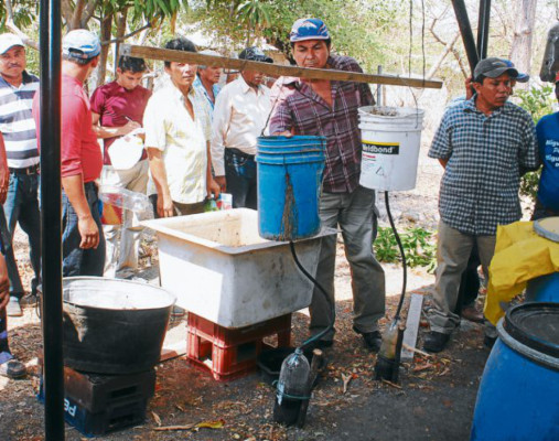 Procesan abono y fertilizante con estiércol de ganado en el sur