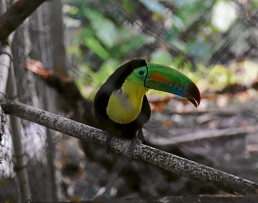 Descanso y diversión en un solo lugar