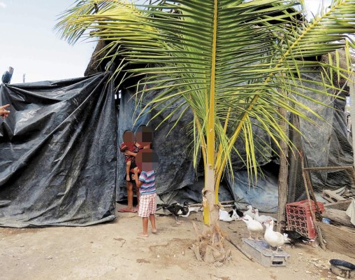 Construirán 200 casas en Valle