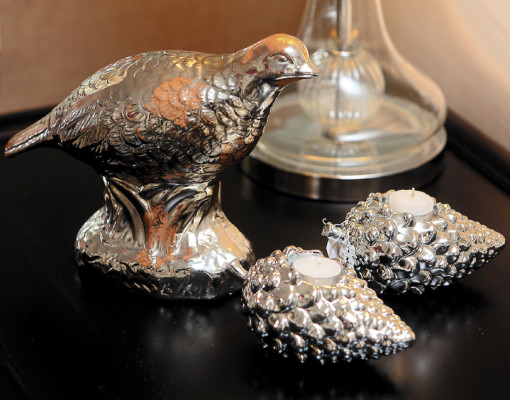 Eche a volar su imaginación…