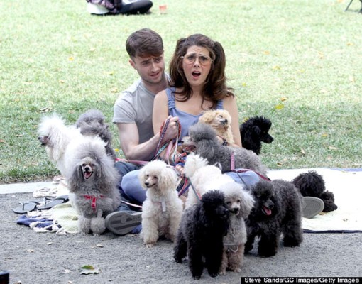 Daniel Radcliffe el paseador de perros