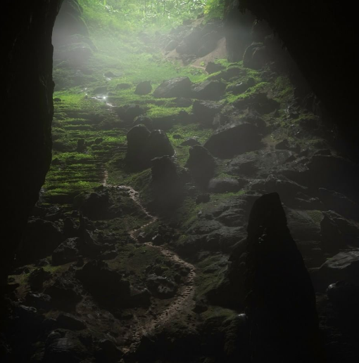 Son Doong, la cueva más grande del mundo con un paisaje espectacular y clima propio