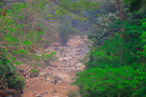 $!La falta de lluvias en el país ha ocasionado que agunos ríos y quebradas luzcan completamente secas, como el caso de la quebrada Agua Salada, ubicada en Cortés.