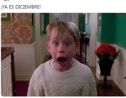 ¡Imperdibles! Los mejores memes de la llegada de Navidad