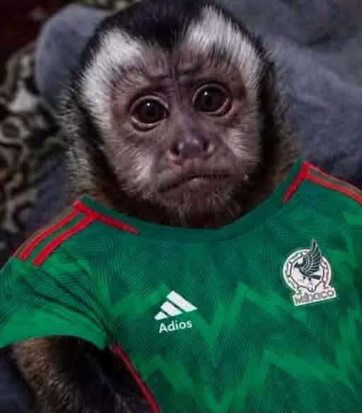 Burlas inundan redes sociales: Los memes tras eliminación de México del Mundial 2026